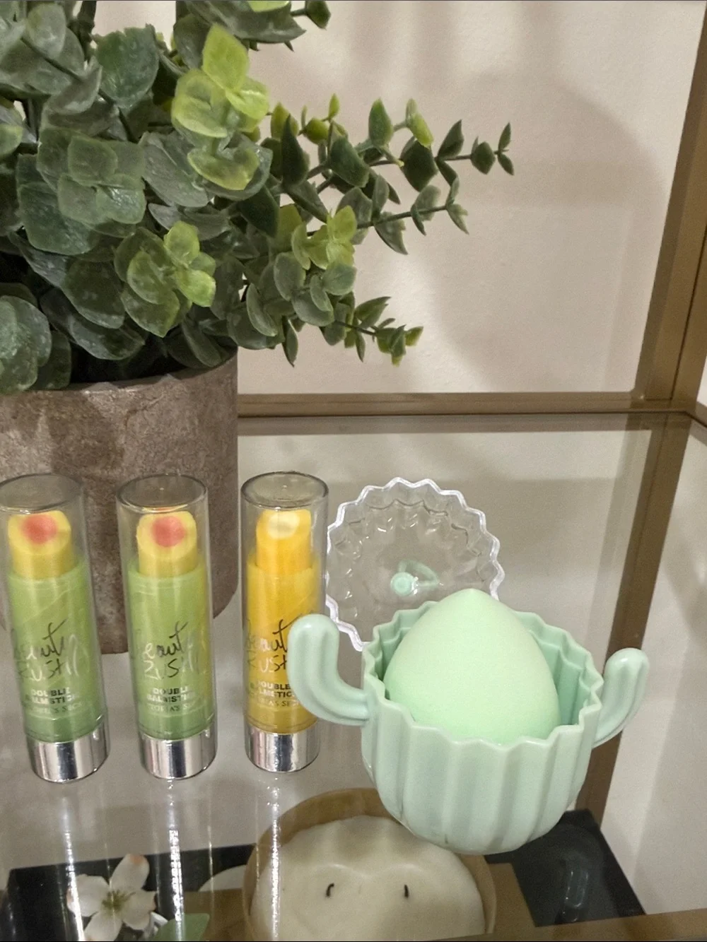 Cactus Make Up Sponge and Lip Balm Set